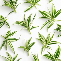 Obraz premium Green leaves pattern on white background.