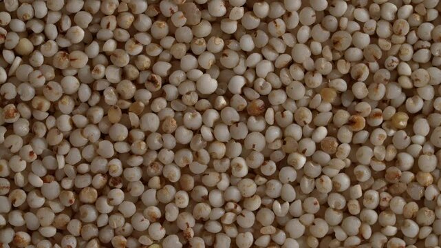 Closeup top view of a spinning pile of raw Millets with dry textures