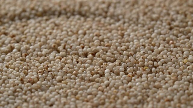 Closeup of a spinning pile of raw organic Millets with dry textures