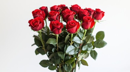 Red Roses Bouquet Against White Background