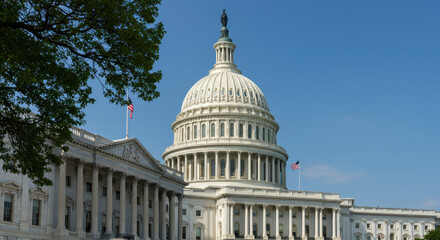 Obraz premium US Capitol Building: A Symbol of American Democracy Under Blue Skies, Washington DC Landmark & Architecture