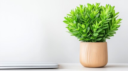 Green Artificial Plant in Wooden Pot Near Laptop on Minimalist Desk