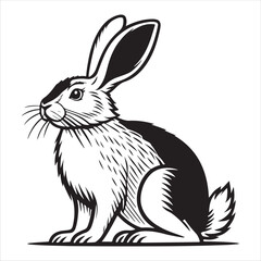 Rabbit Vector