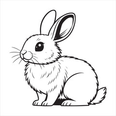 Rabbit Vector
