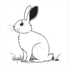 Rabbit Vector