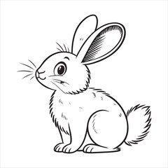 Rabbit Vector
