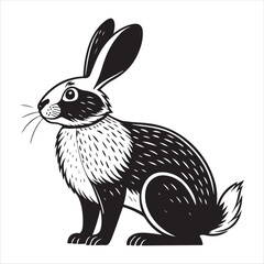 Rabbit Vector