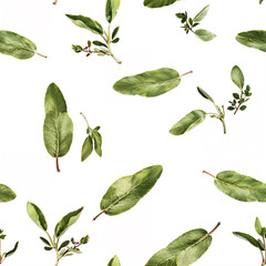 seamless pattern with sage