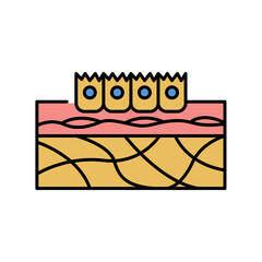 extracellular matrix color line icon for digital and print projects.