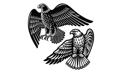 Soaring eagle vector design logo illustration