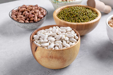 Nutrient-rich legumes for vegetarian and vegan cooking on gray table. White beans, green mung beans, cranberry beans in the bowls, mixed pulses for healthy balanced diet, plant-based protein source