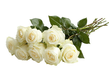 Obraz premium Elegant white roses arranged beautifully on a light background, symbolizing purity and love isolated on transparent background