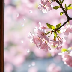 Obraz premium A delicate cherry blossom falls through a windowpane, flowers, petal, delicate