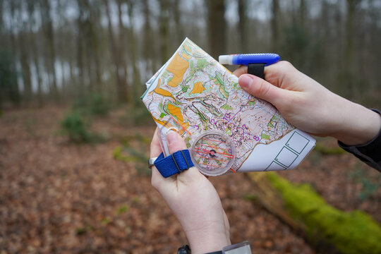 Hilly forest map folded and boing held by two hands with compass and SIcard with autumn forest background
