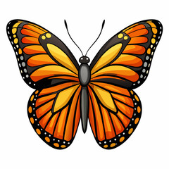 butterfly vector illustration