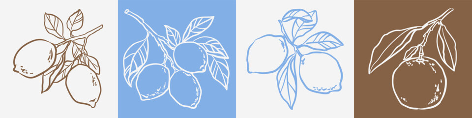 Hand drawn lemon branch harvest set in sketch style. Amalfi doodle drawing for t-shirt print, invitation, card, design. Italian Dolce vita summer element.	