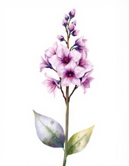 Watercolor illustration of purple flowers