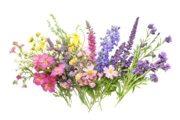 A vibrant bouquet of wildflowers celebrates spring's beauty and color in full bloom isolated on transparent background