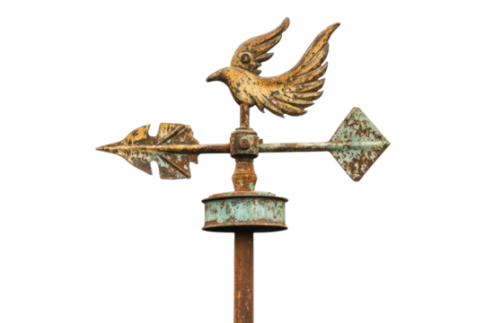 Rustic weather vane featuring a bird and arrow design against a clean backdrop isolated on transparent background
