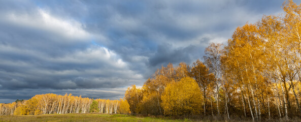 Cloudy sky with trees in the background