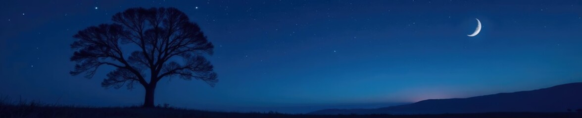 Isolated tree against a dark blue night sky with stars and a crescent moon, solitude, tree, landscape