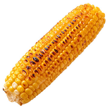 Grilled corn on the cob, isolated on black background.