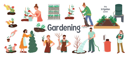 Fototapeta premium A set of illustrations about gardening. Drip irrigation system, growing vegetables, topiary art and more. Vector illustration