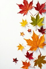 colorful leaves scattered on a white background, botanical still life, flower and leaf, autumn colors