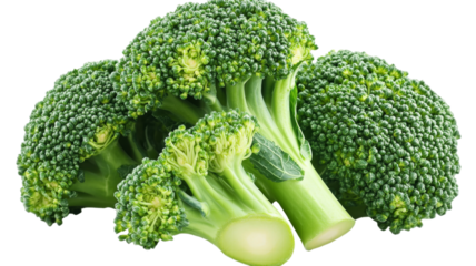 Fresh green broccoli florets resting on transparent background