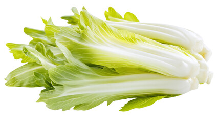 Obraz premium Fresh bok choy vegetable with green leaves isolated on transparent background