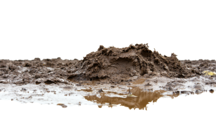 Wet mud pile forming a small hill on transparent background