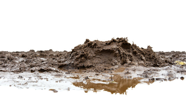 Wet mud pile forming a small hill on transparent background