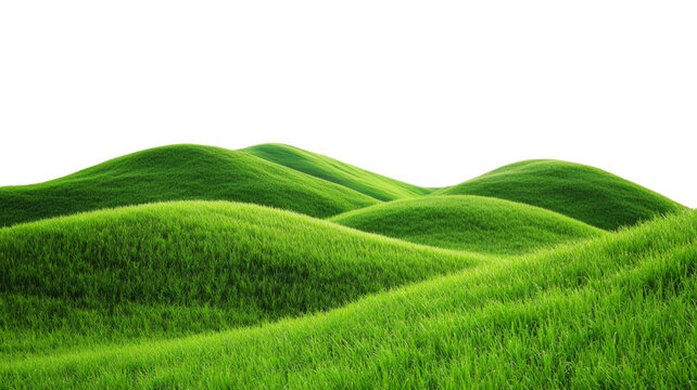 Green grass covering rolling hills on transparent background