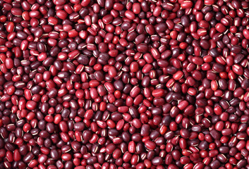 Red beans photographed from above. 