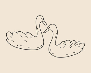 Line art swan isolated. Hand drawn whimsical love birds. Coquette trendy wedding two swans. Vector outline illustration