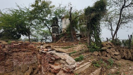 Forgotten Relic: A Weathered Ancient Well Amidst Rural Vegetation