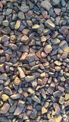 a collection of pebbles illuminated by the morning sun