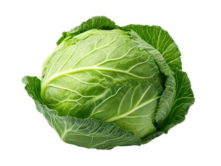 Fresh and crisp head of cabbage with deep green leaves showcasing its natural beauty and nutritional benefits isolated on a white background.