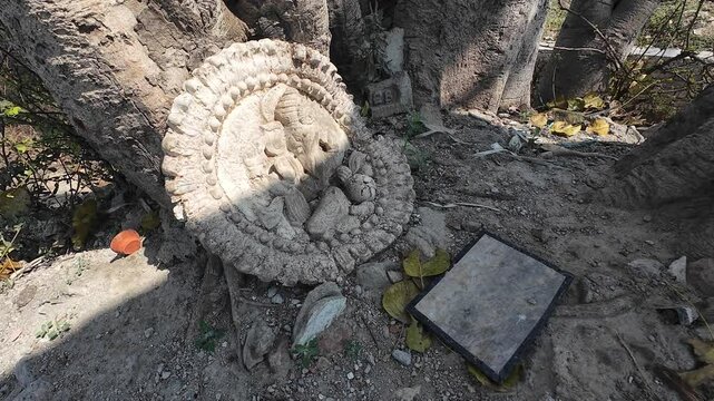 Weathered Ganesha Idol ( Ganesh ) Resting Beneath Sacred Tree in Traditional Village
