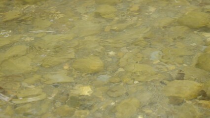 Transparent water in river or lake
