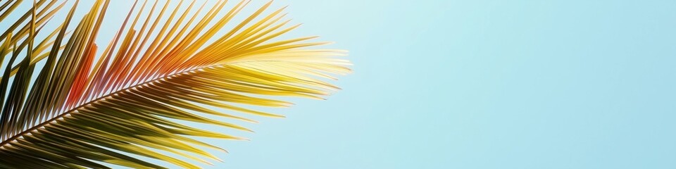 Fototapeta premium A palm tree with a leaf on it is shown against a blue sky. Concept of relaxation and tranquility, as the palm tree and blue sky create a peaceful and serene atmosphere