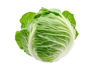 Obraz premium Fresh green cabbage displayed against a neutral background, highlighting its crunchy texture and nutritional benefits in cuisine isolated on a white background.