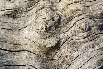 This image showcases a light brown wood grain texture adorned with a cheerful smiley face, creating a unique and inviting visual. The intricate details of the wood grain add to its charm.