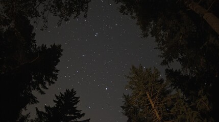 Stunning night sky filled with bright twinkling stars and a deep blue canvas of the universe