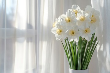 Bright white daffodils in a vase with natural light streaming through sheer curtains in a cozy indoor setting