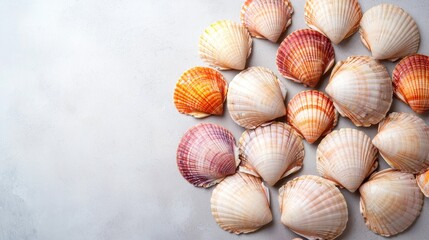 Detailed Image of Colorful Seashells Arranged in a Circular Pattern on a Light Background for Creative Use