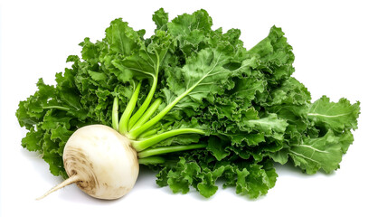 Fresh turnip greens and roots on a white background