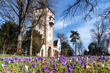  Eurovision Song Contest 2025, Baselstadt, Schweiz, Fr&uuml;hling, St.Alban-Tor, ESC-Contest,
