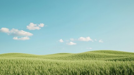 Obraz premium Lush Green Soybean Field Stretching to the Horizon Under a Clear Blue Sky with Soft Clouds