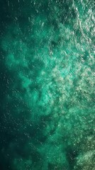 Fototapeta premium Turquoise waters Aerial view of ocean surface with sunlit, rippling waves